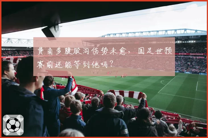 费南多腹股沟伤势未愈,国足世预赛前还能等到他吗?