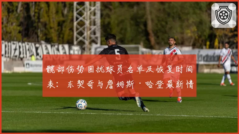 髋部伤势困扰球员名单及恢复时间表:东契奇与詹姆斯·哈登最新情况