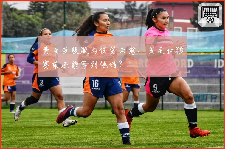费南多腹股沟伤势未愈,国足世预赛前还能等到他吗?