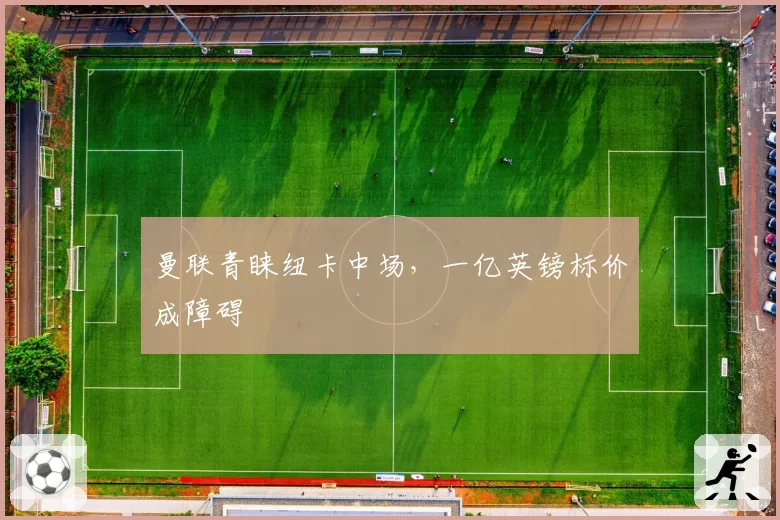 曼联青睐纽卡中场，一亿英镑标价成障碍