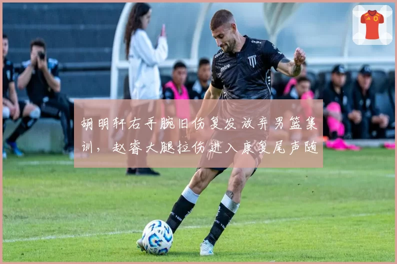 胡明轩右手腕旧伤复发放弃男篮集训,赵睿大腿拉伤进入康复尾声随队合练,广东新疆后场伤情交错